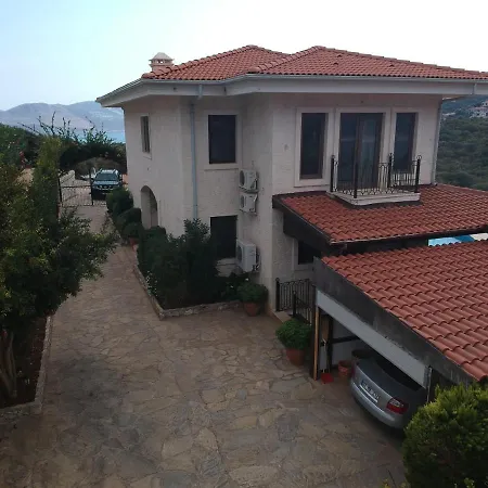 فيلة Antiphellos Villari B