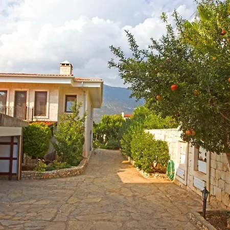 فيلة Antiphellos Villari B